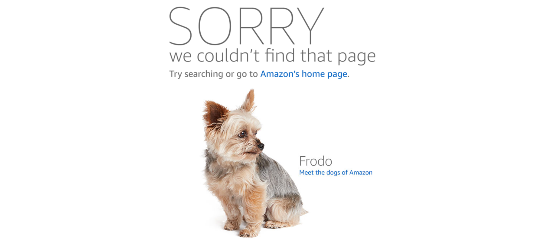 Amazon product not found 404 page